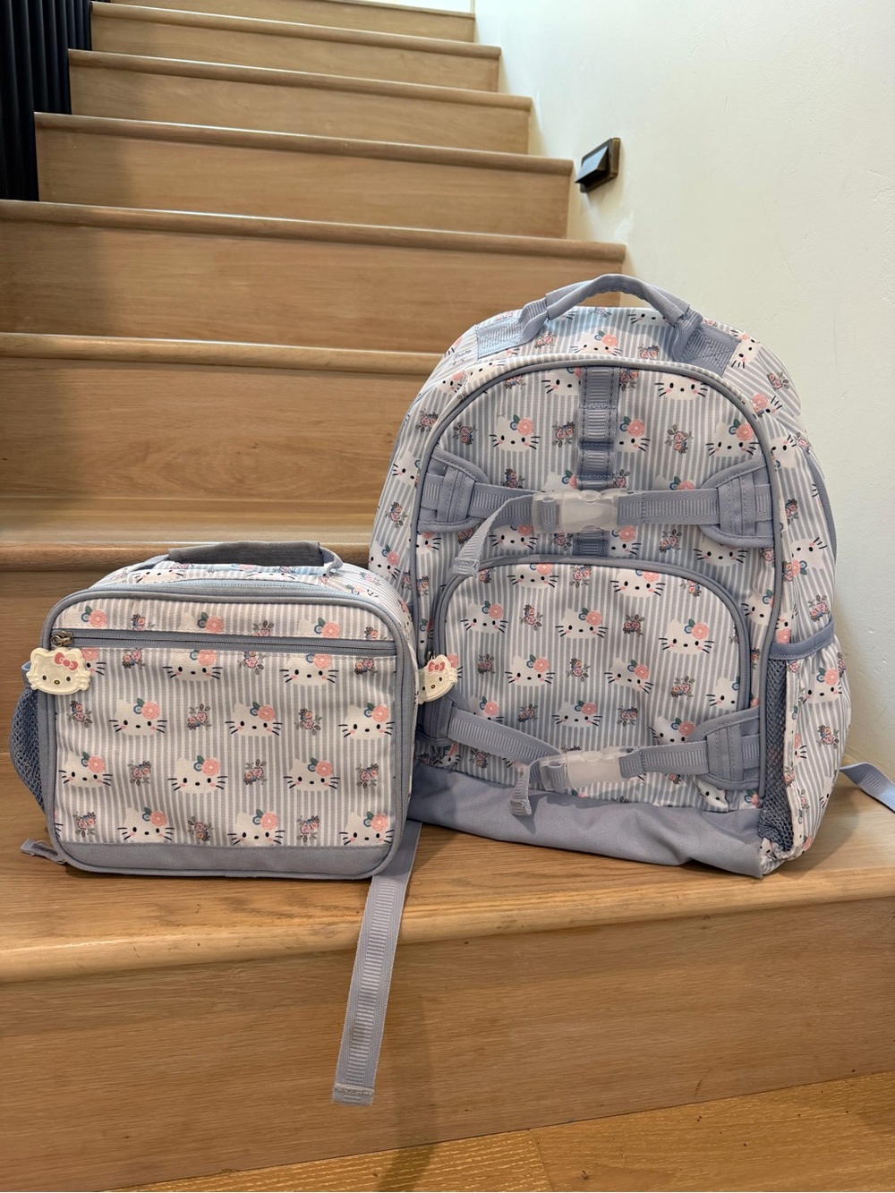 Pottery Barn Kids Large Light Blue Floral Stripe Backpack and Lunch Bag Set